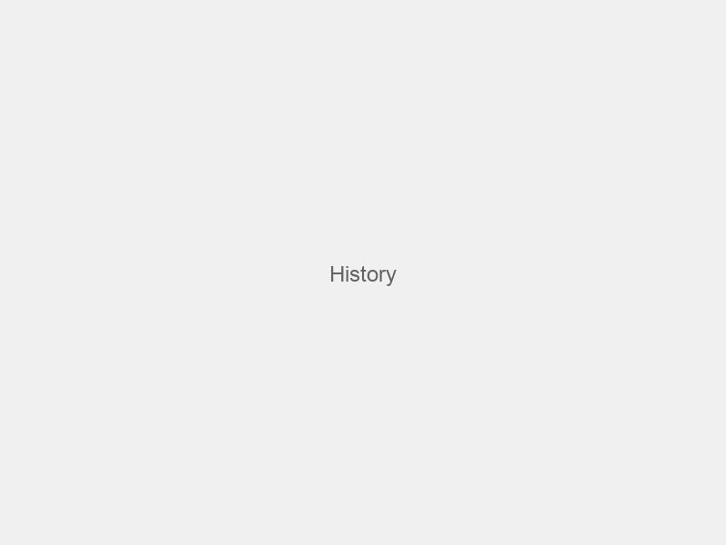 School History